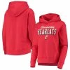 Under Armour Women's Red Cincinnati Bearcats Cincy All Day Fleece Pullover Hoodie -Colosseum Store DSCO1137485718 2910