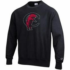 Champion Men's Black Cincinnati Bearcats Vault Logo Reverse Weave Pullover Sweatshirt -Colosseum Store DSCO1140607693 1007 ALT2