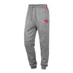 Colosseum Men's Gray Dayton Flyers Worlds To Conquer Sweatpants -Colosseum Store DSCO1152056226 1927 ALT2